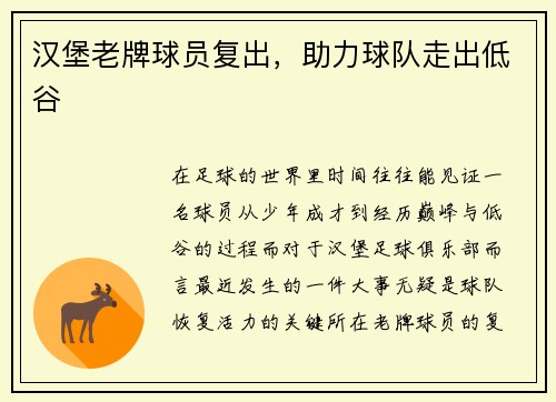 汉堡老牌球员复出，助力球队走出低谷