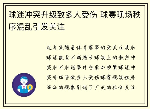 球迷冲突升级致多人受伤 球赛现场秩序混乱引发关注