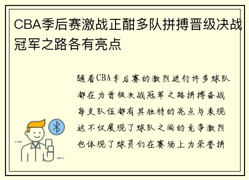 CBA季后赛激战正酣多队拼搏晋级决战冠军之路各有亮点