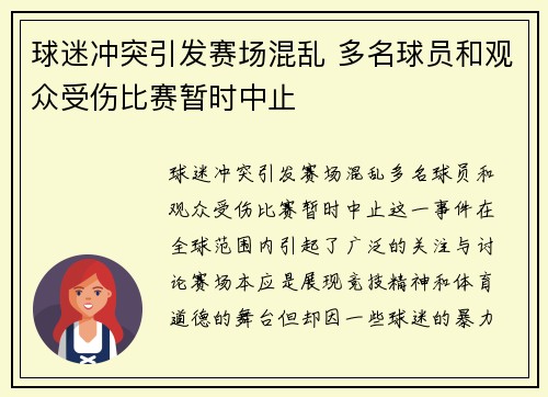 球迷冲突引发赛场混乱 多名球员和观众受伤比赛暂时中止